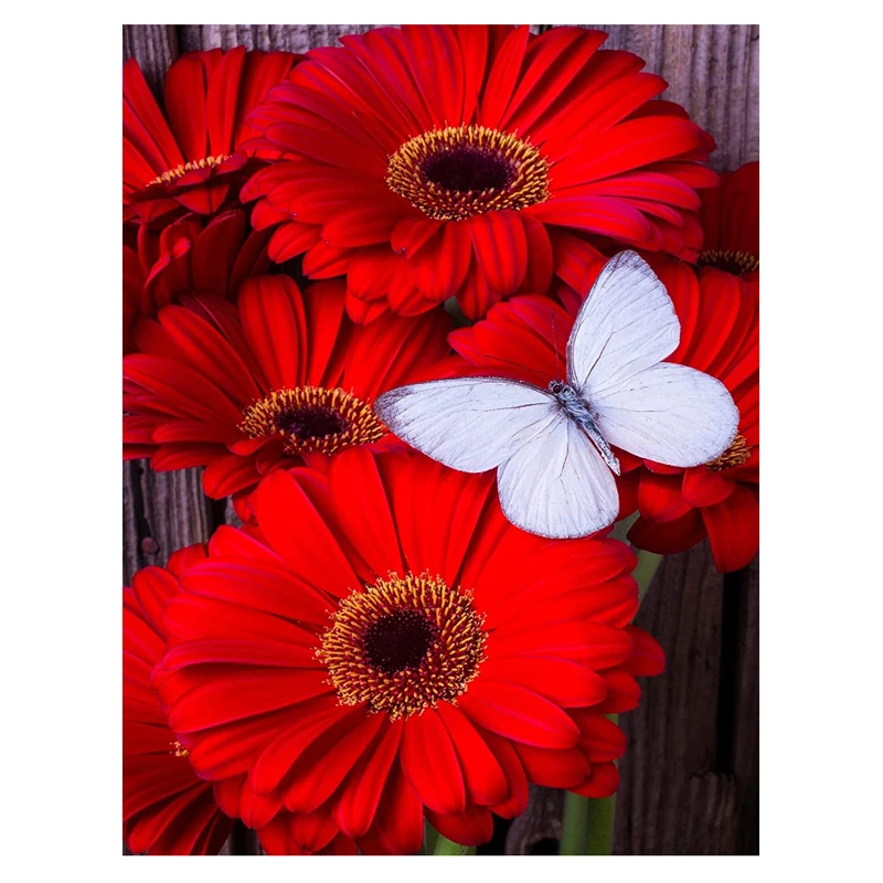 Home Decor Picture for Sale 5d Art Diamond Painting Kit Red Daisy and Butterfly Diy Full Drill Handmade Diamond Embroidery