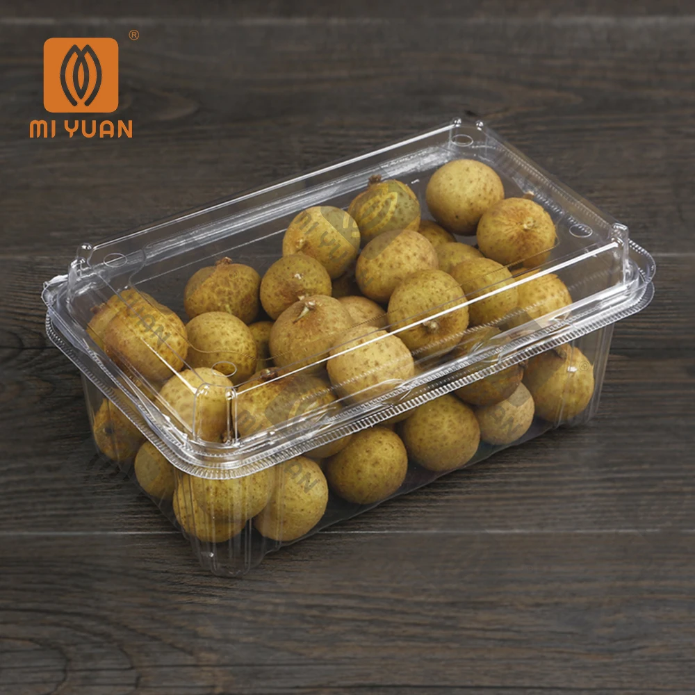 PET Clear Fresh Fruit Recyclable Plastic Clamshell Box For Supermarket Fruit Grape Fruit Box
