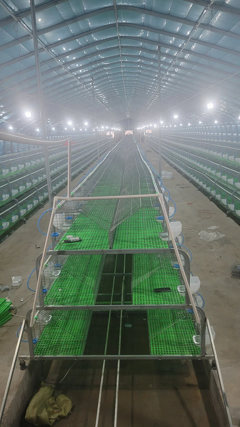 A Type ladder 3 floor rabbit cage commercial farming breeders cage