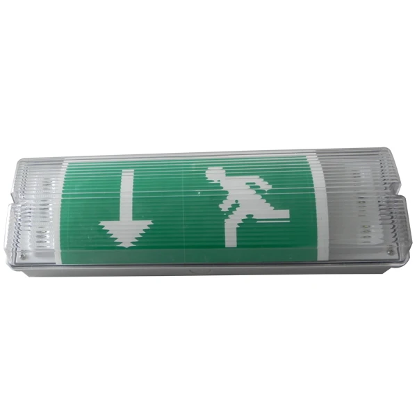 Rechargeable Small IP65 Plastic Waterproof Emergency Lamp Bulkhead Emergency Light