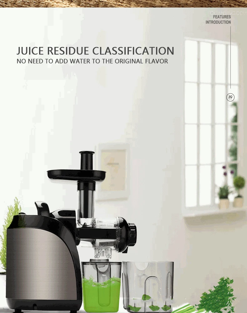
Kitchen Appliance Whole Fruit Industrial Juicer Carrot Juicer Machine Commercial Cold Press Slow Juicer 