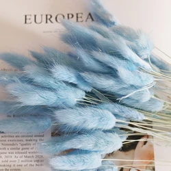 Yunnan Culinan factory wholesale dried flowers natural lagurus ovatus bunny rabbit tail grass