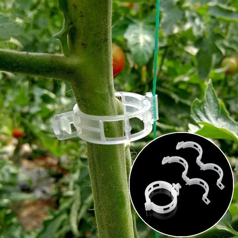 Customized size White color round plastic tomato clips tomato hooks Plant Lock Clips For Fixed Tomato Vine