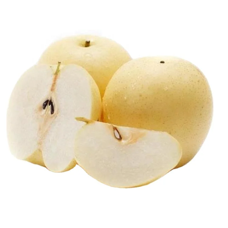 
best selling fresh pear china juicy golden pear good quality new crop 