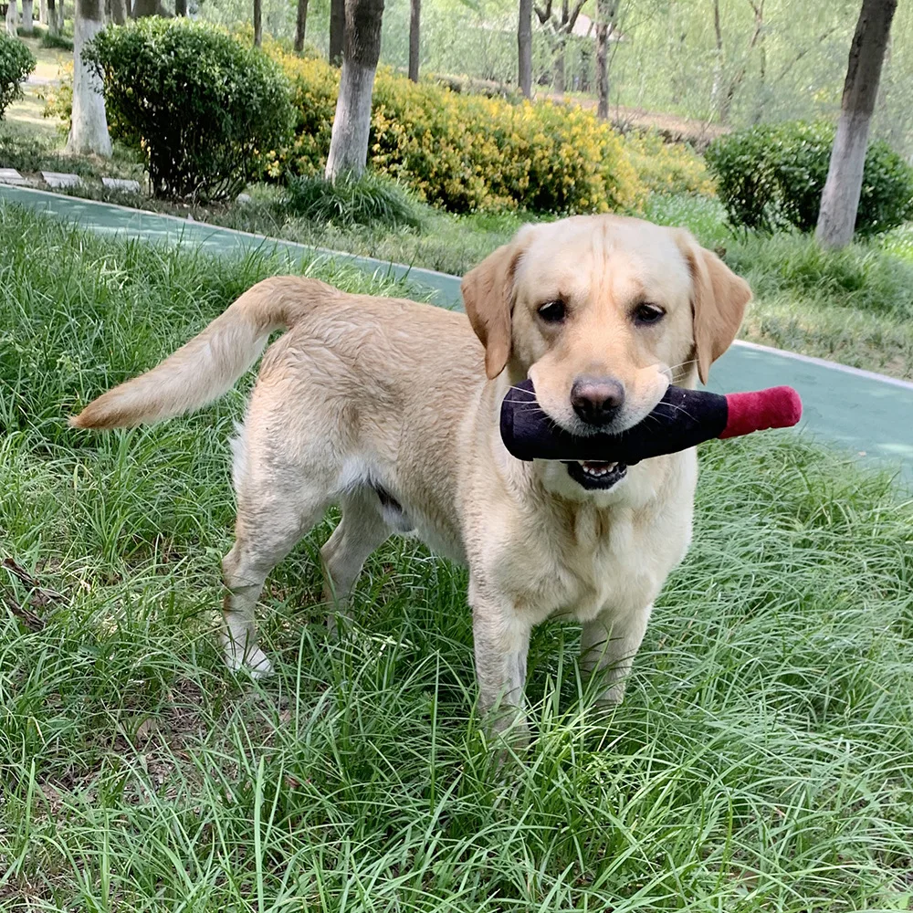 27cm Beer bottle interactive dog toys vent pet accessories dog plush toys Cat play pet chew toys wholesale