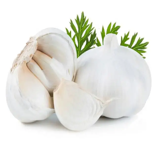 Price the best quality the best ordinary white pure white fresh shandong garlic wholesale