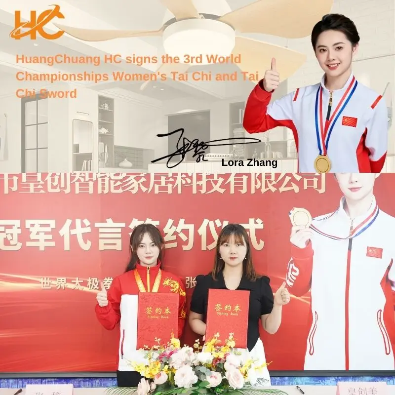 China OEM invisible blade living room decorative enclosed ceiling fans light lamp