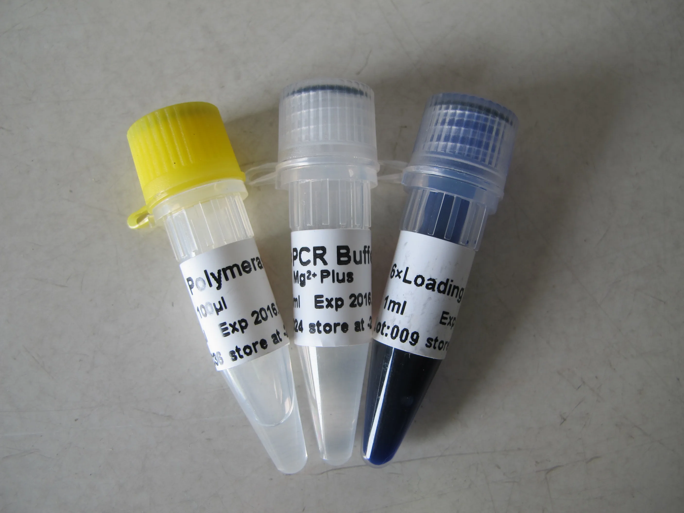 GDSBIO Taq DNA Polymerase PCR reagent 5U/Microliter 100000U P1017