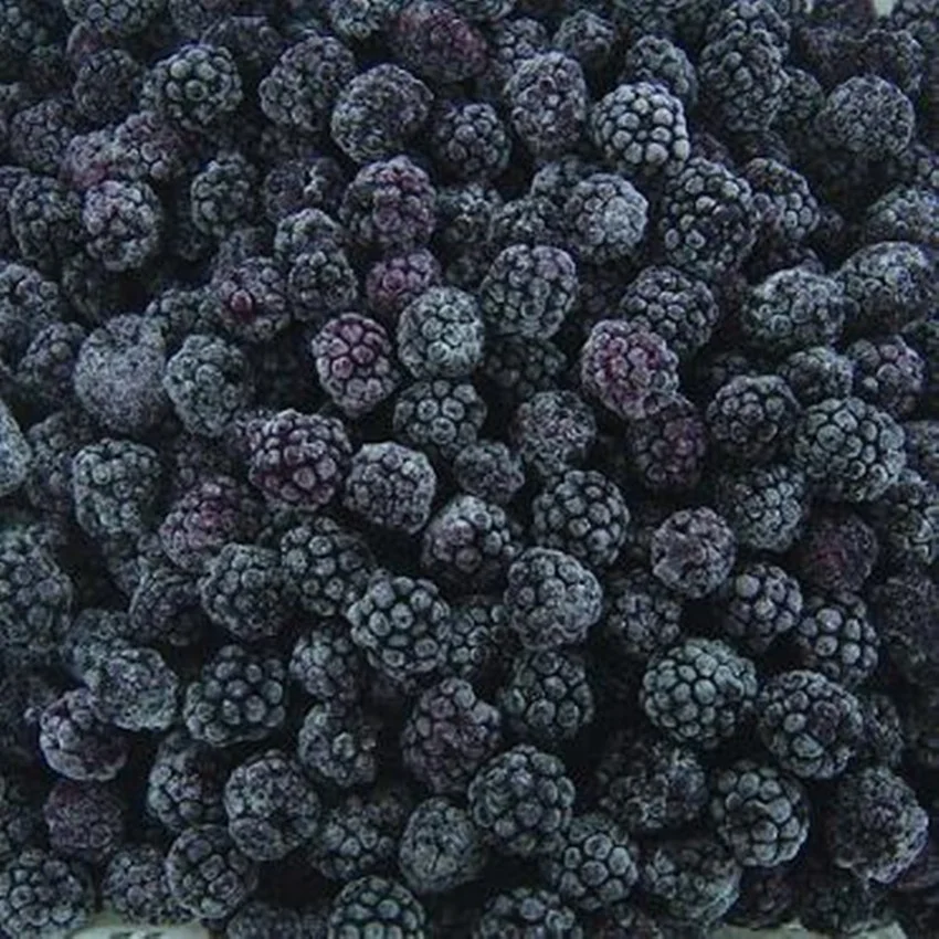 Jam Material Supply BRC Certified IQF Fruits Frozen Blackberry