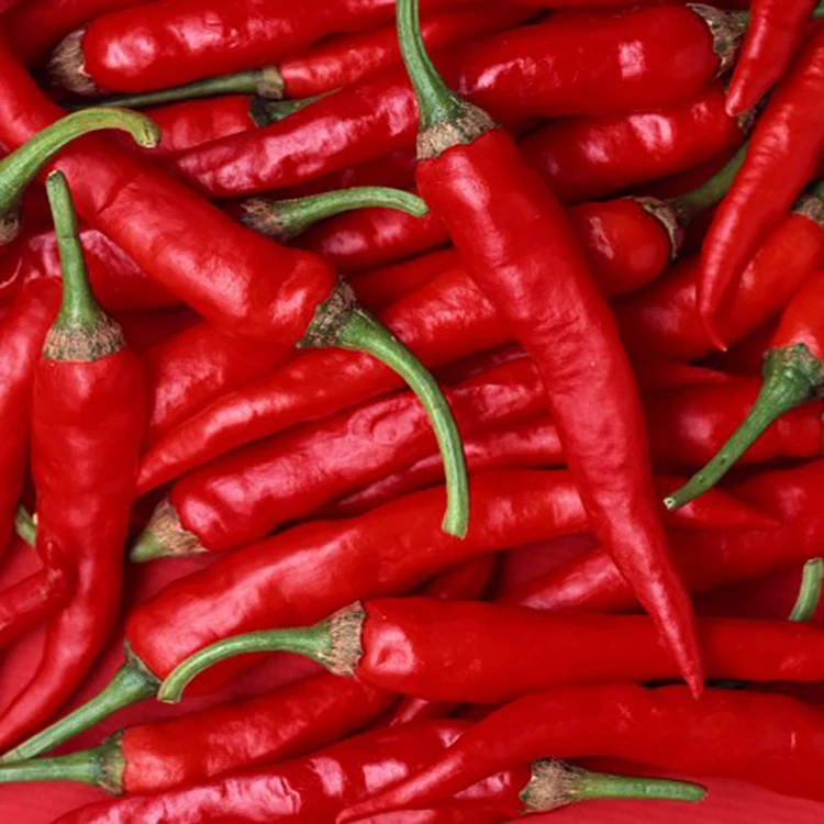 Guochen GC2030 Hot  promotion  fresh frozen  chili/pepper (stem/stemless)