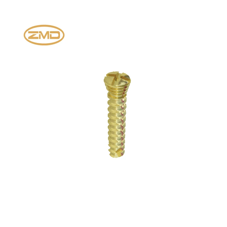 Orthopedic implant Self-drilling Screw titanium plates screw