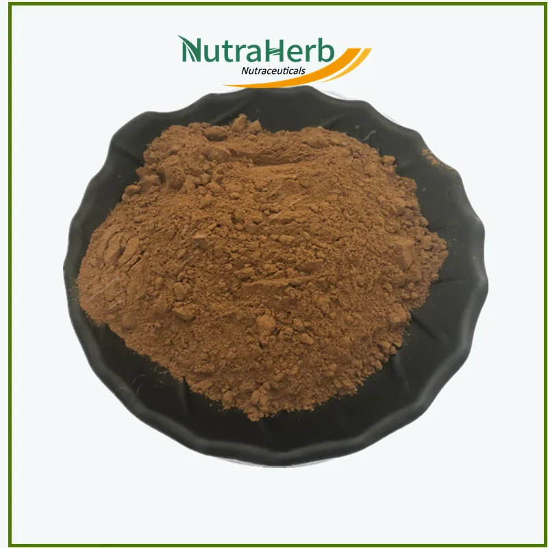 Hot Sale Mint Powder Mentha Piperita Leaf Extract 10:1 Peppermint for Selling