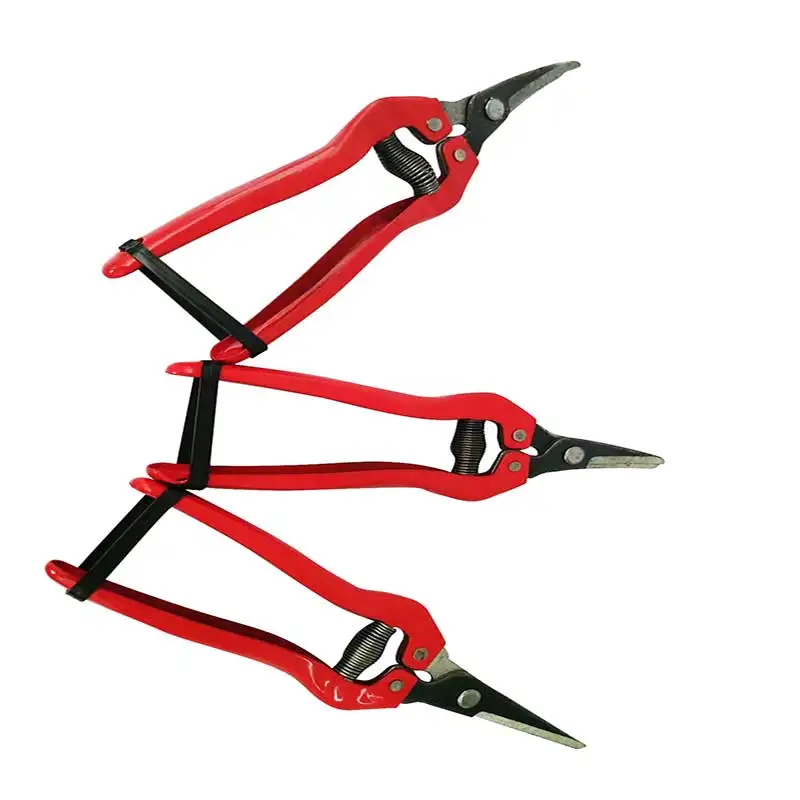 Professional Carbon Steel Garden Grape Scissors Pruning Shears for Bonsai Fruit Flowers Trees