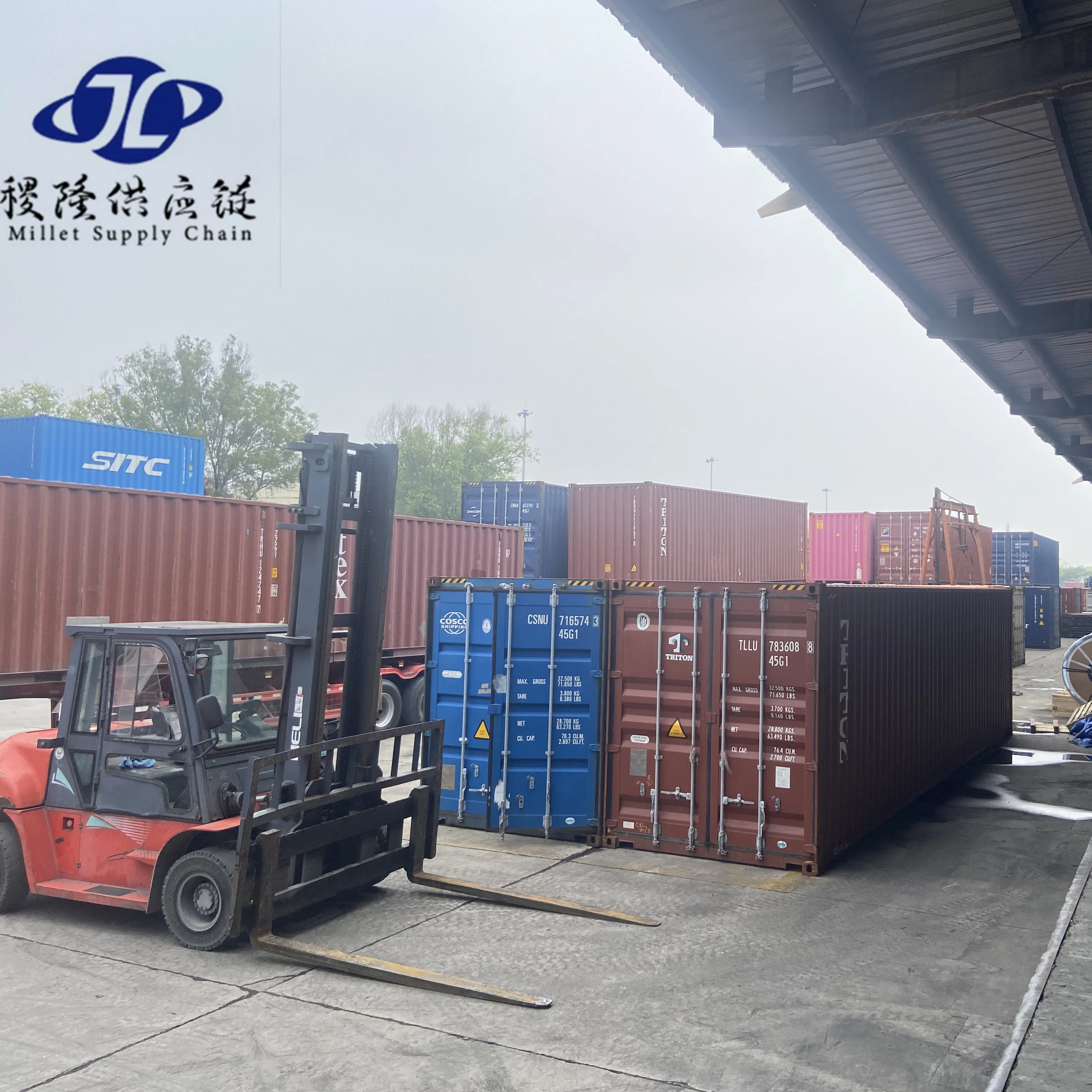 Professional and Cheapest Sea Shipping Agent Freight Forwarder  Shipping Company  Shipping Agent From China To USA