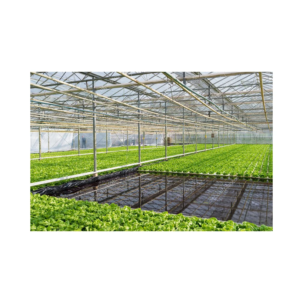 New Listing Saving-water Hydroponics Vegetables  PVC Greenhouse Seed Cultivation Pvc Hydroponic Gutter Supplier