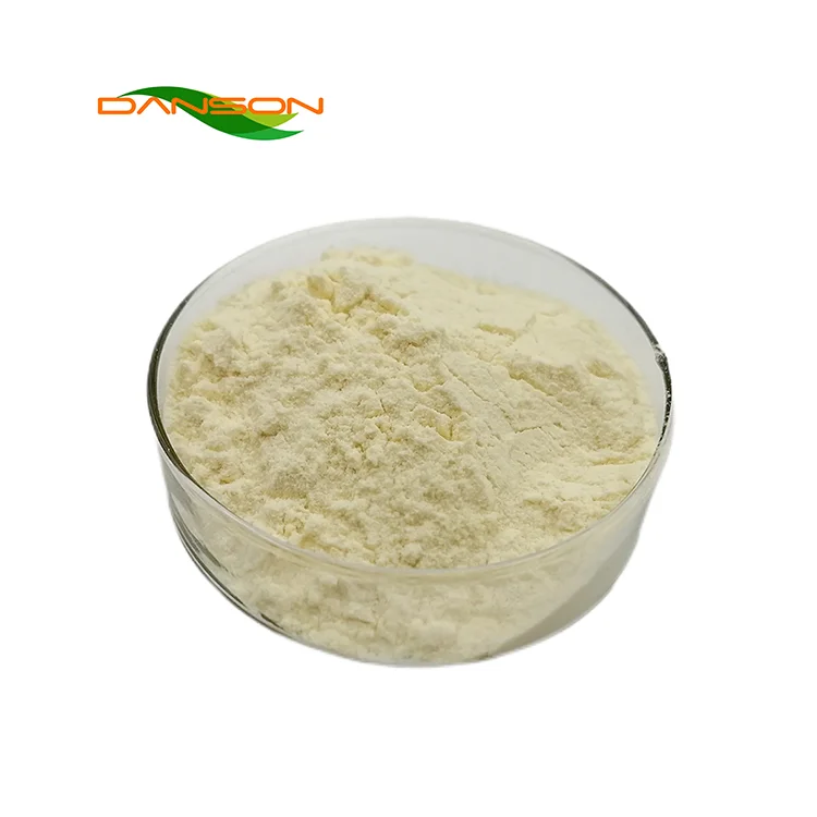 6-Gingerol Ginger Root Extract Powder Gingerol 5% Ginger Extract
