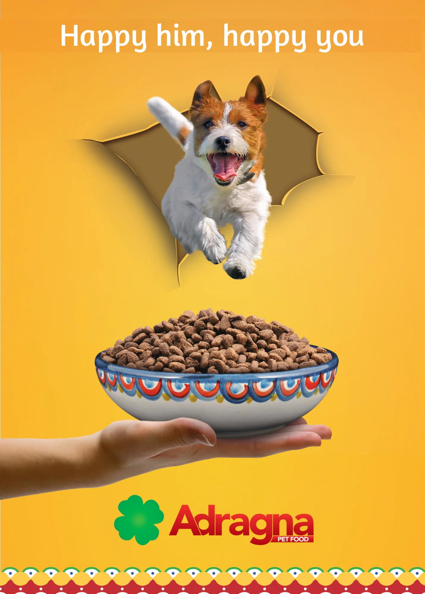 Premium Quality Italian Pet Food for Medium and Large Size Adult Dog Food with Lamb and Rice 12kg Pack