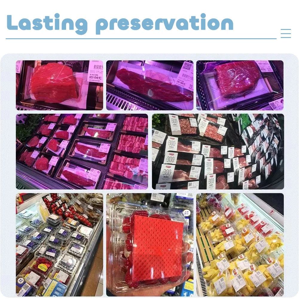 Eco-friendly anti-moisture food water absorbent pad with SAP in the tray for fresh meat fruit vegetable poultry