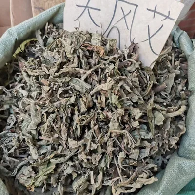 1 кг Дикая трава Ngai camphor sambong сушеные Сырые Натуральные стебли Blumea balsamifera листья разрезы для продажи