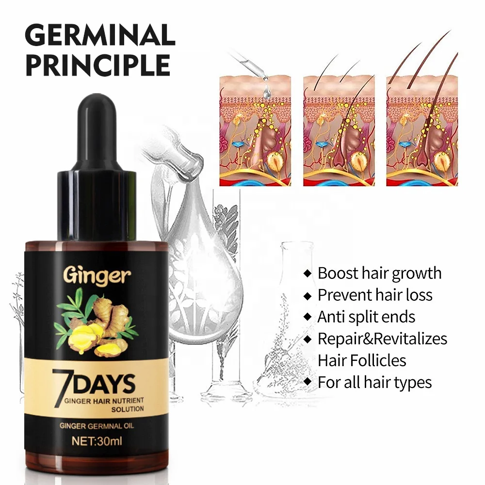 7 Days Natural Germinal Oil Bald Hair  Growth Ginger  Oil for Men