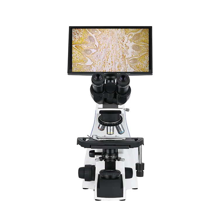 Wholesale XSZ-207T WF10X/20mm seidentopf trinocular head biological video medical laboratory microscope