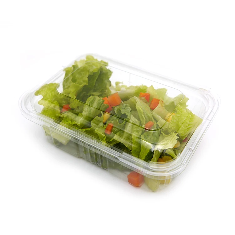 fruit vegetable lettuce packaging disposable plastic clamshell food box