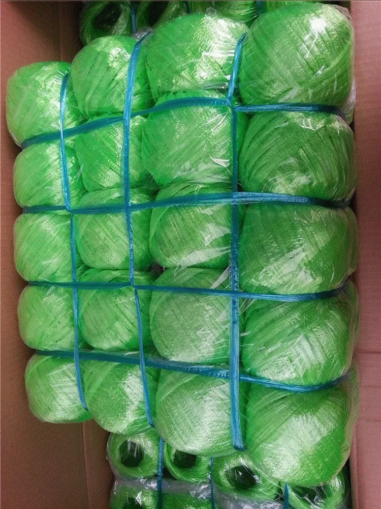 Biodegradable Polyester Nylon Colorful Plastic Rope Plastic Baler Twine for Packing