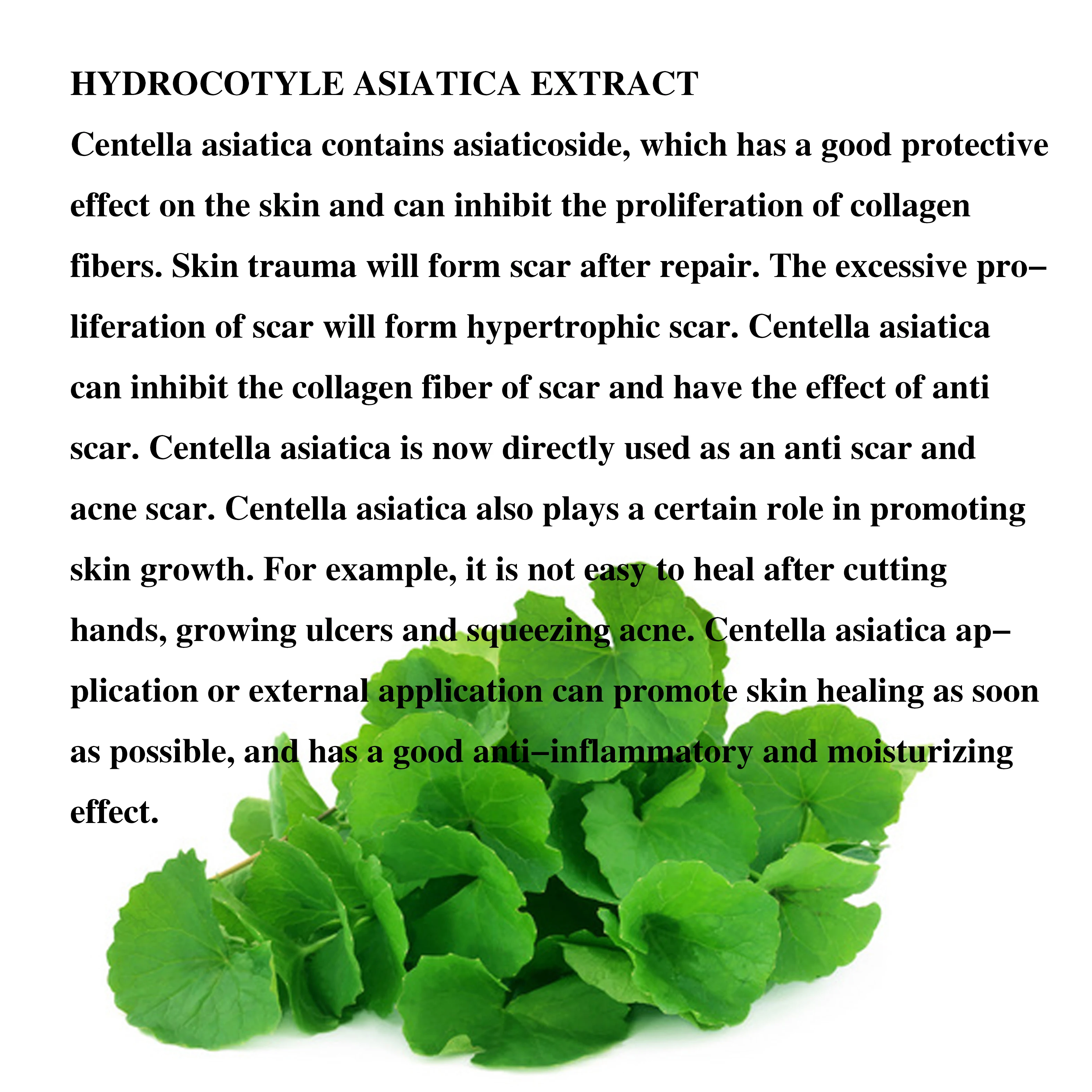 Facial  Massage Moisturizer Machine Clinical Skin Care Treatment Centella Repair Face Cream