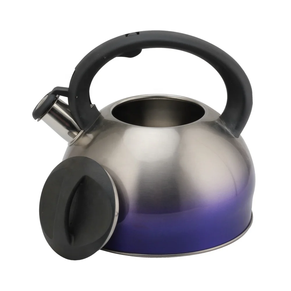 Stainless Steel Tea Kettle Small Tea Pots 2.6 Quart, Whistling Tea Kettle for Stove Top