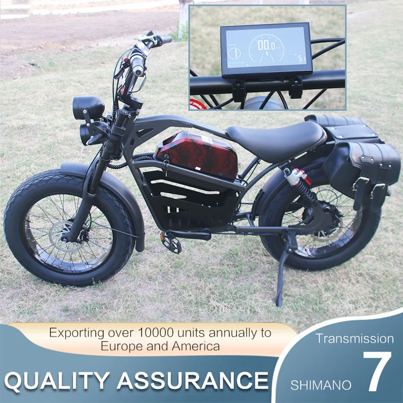 1500w 48V 1500w vintage super cool mtb snow 20 inch e bike 1500w ebike dirt bike for adult