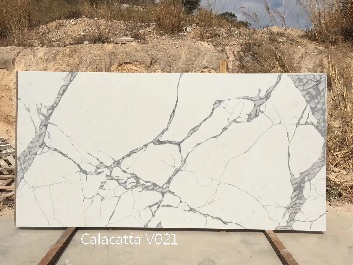 Calacatta V021