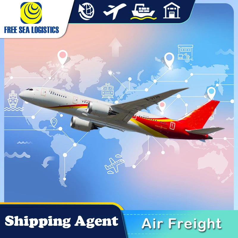 Shipping Agent Sea Freight Forwarder  From China To Saudi Arabia Egypt Turkey