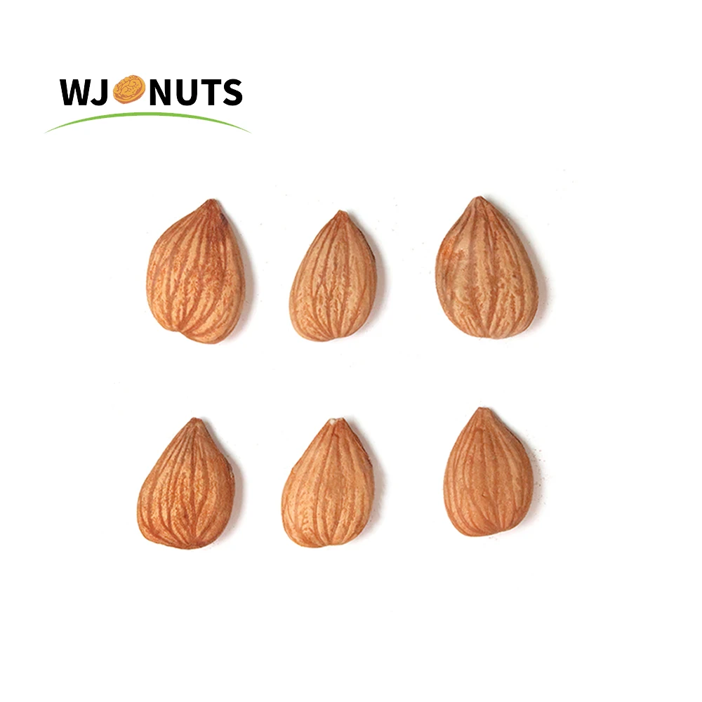 2021 new wholesale California almond badam almond nuts