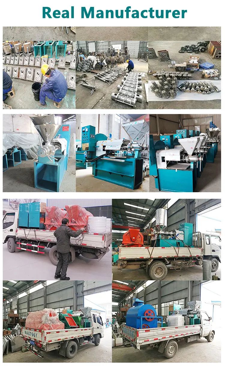 6YL-60 palm oil harvester oil palm presser machine manufacturer