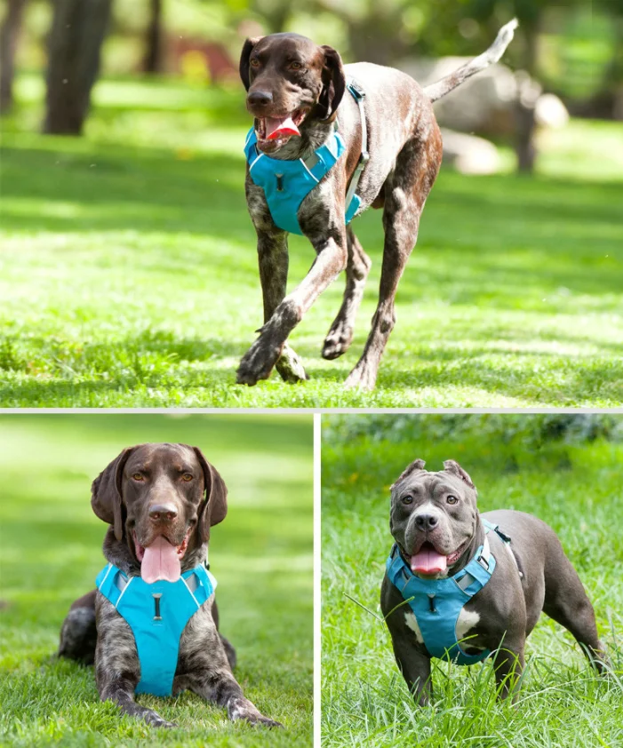 Dog Harness No Pull Pet Reflective Nylon Vest Soft Breathable Mesh Padded No Pull Dog Harness Set for Small Medium Large Dogs