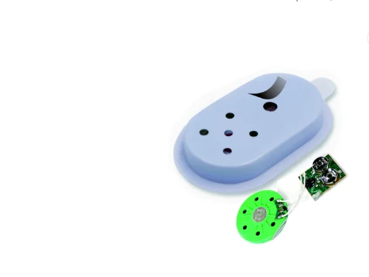 Prank Gag Joke Sound Toy Hidden Recordable Annoying Sound Prank Gag