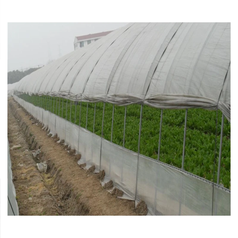 High-Efficiency Film Greenhouse System for Modern Agriculture Professional Crop Cultivation and Growth Solution