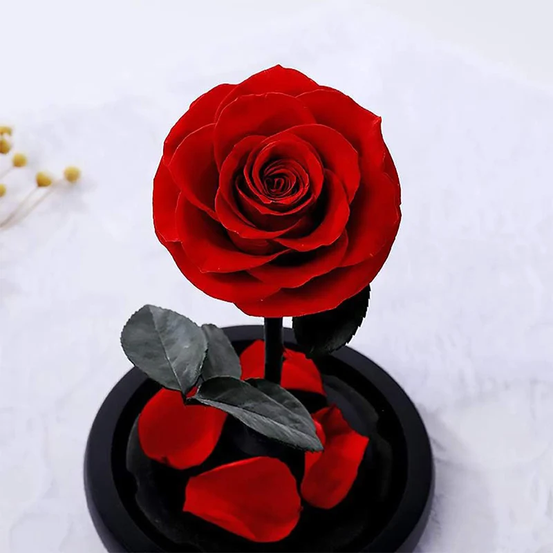 Factory supply enhanced rose beauty and the beast rose in glass dome best price