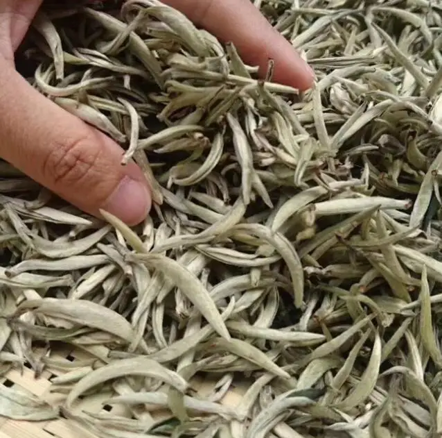 Yin zhen cha china Silver Needle tea for sale