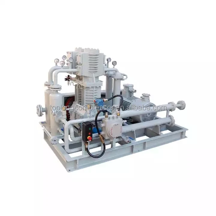 Modern Home Refueling Cng Compressor Natural Gas Filling Station 45kw Lpg Compressor (ZW-2.5/10-16)