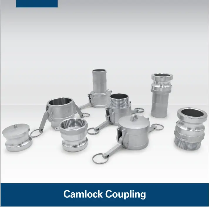 Stainless Steel camlock coupling Type E for hose male end