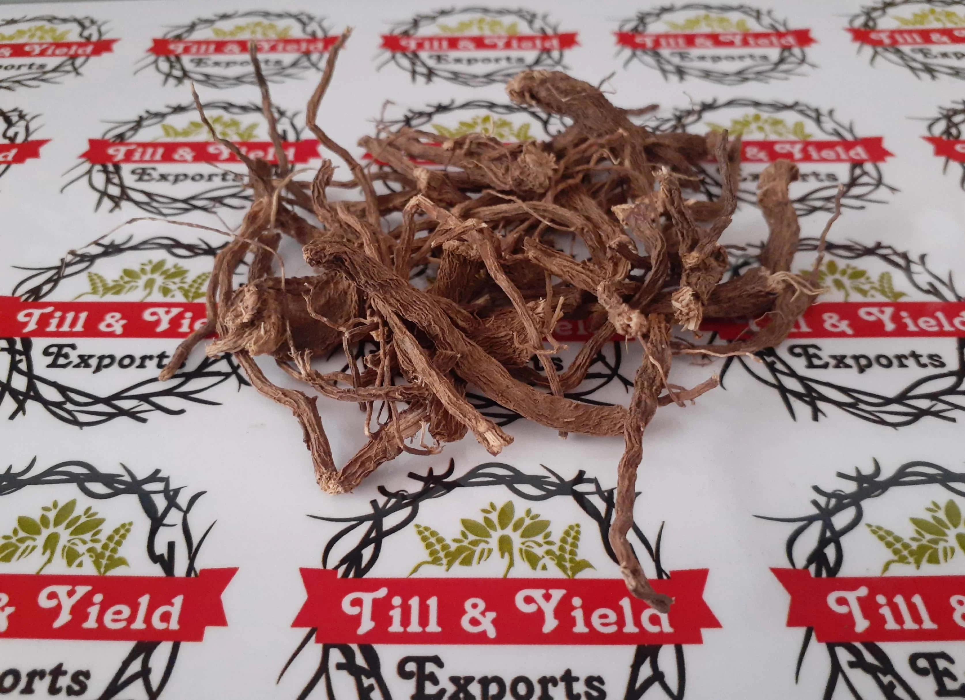 
Dry Coleus Roots - Coleus forskohli 