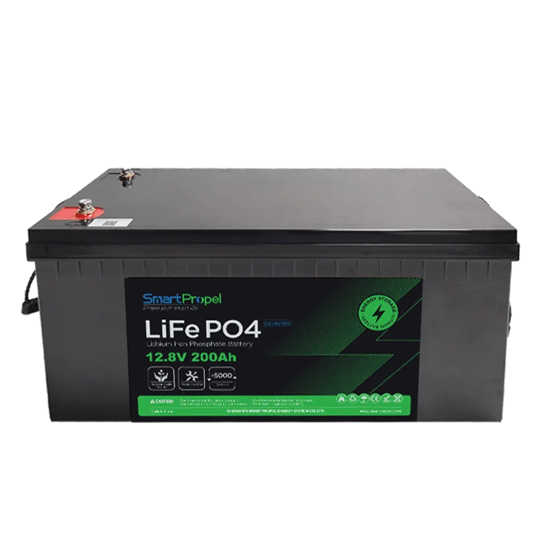 Solar Rechargeable Lfp Battery 12.8V 200Ah Lithium Ion Lifepo4 12V 100Ah 50Ah 24V Battery Pack Cell Energy Storage Battery