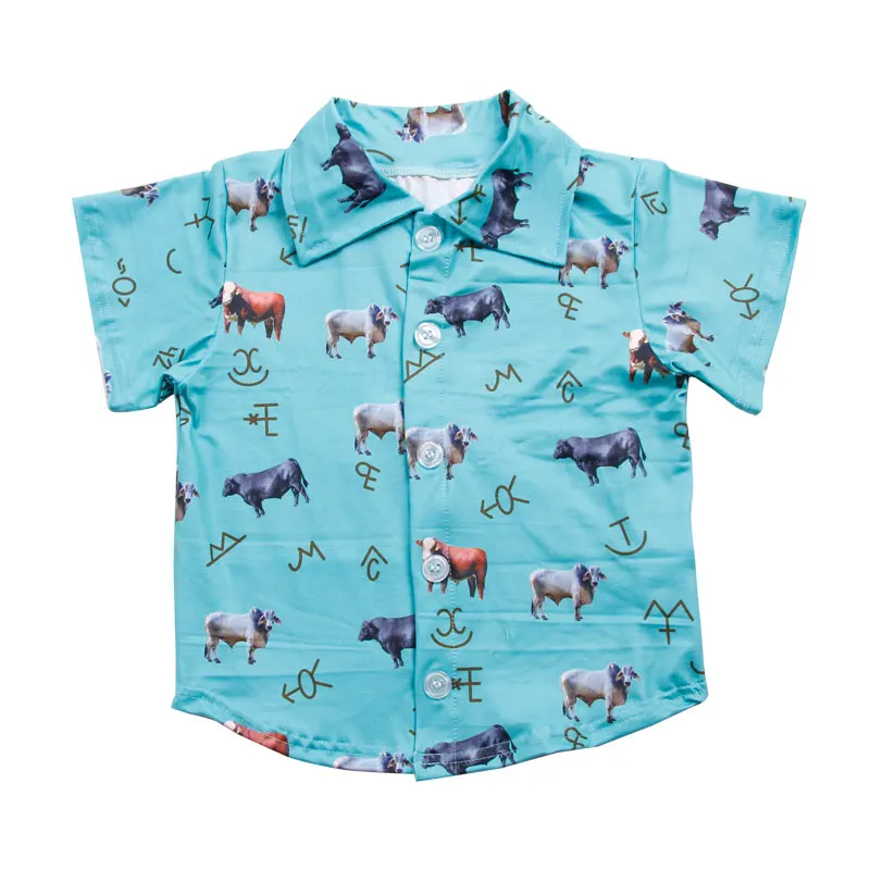 JF Little Boy Fashion Tops Summer Clothing Manufacturer Children Clothes Accept Custom Prints Cotton Material Short SleeveShirts