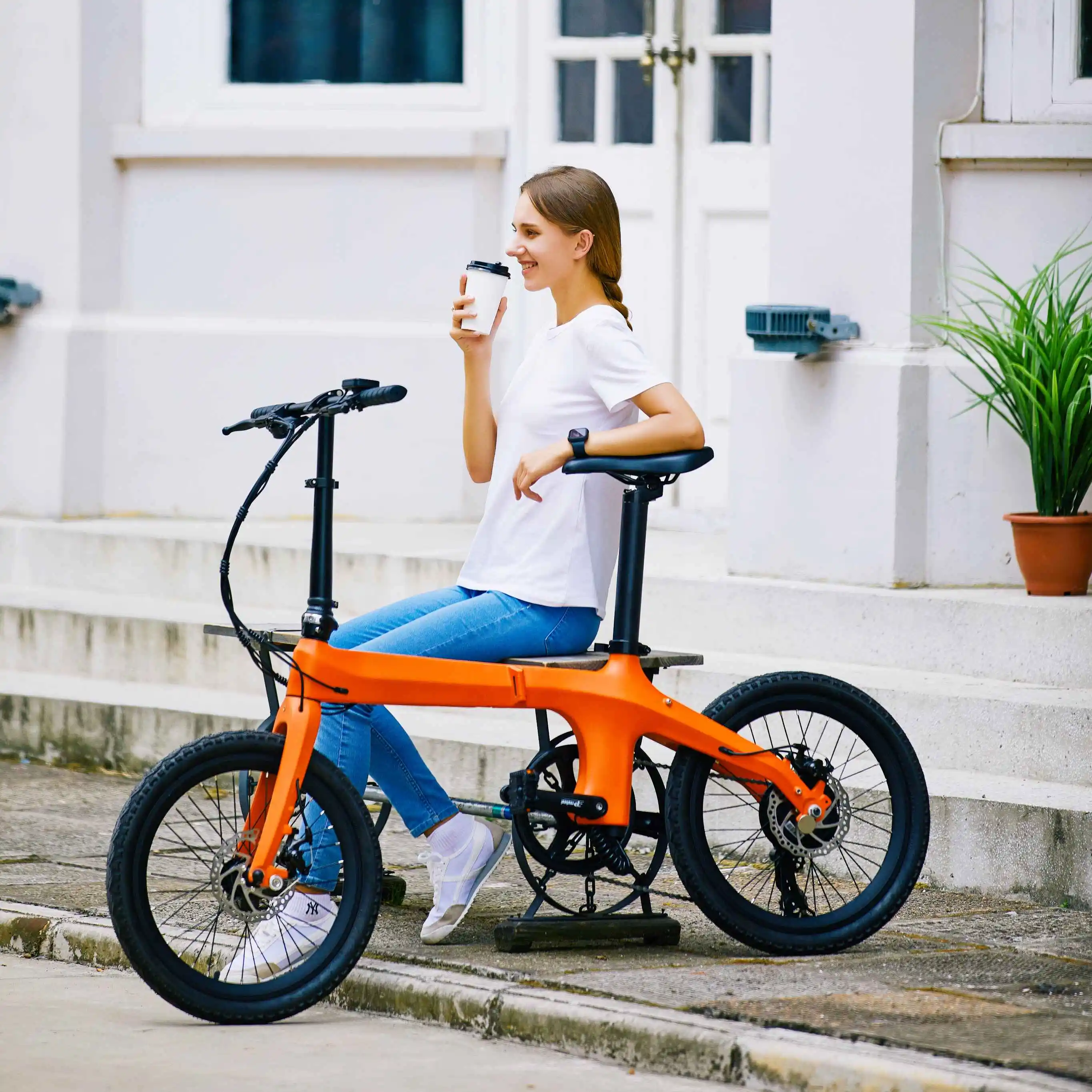 e bikes electric bicycle.jpg