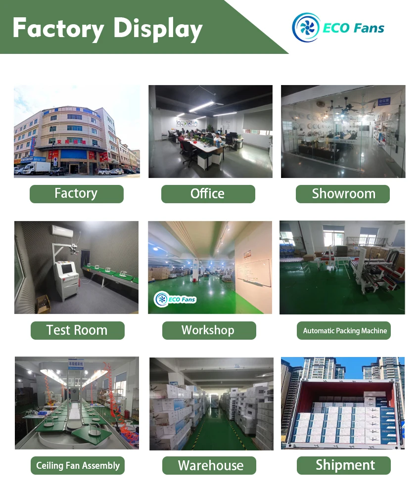 ECO display