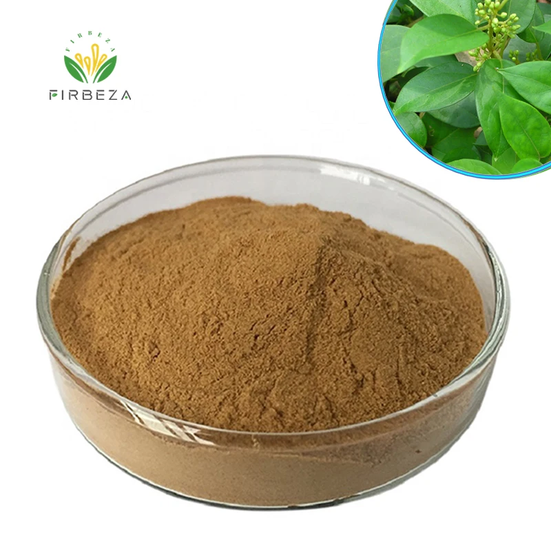 100% Pure Natural Organic Gymnema Sylvestre Leaf Extract 25% 75% Gymnemic Acid Powder