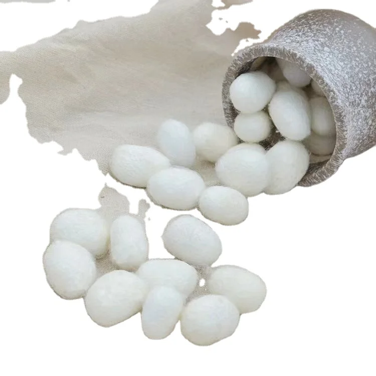 Factory direct supply 100% natural silkworm cocoon