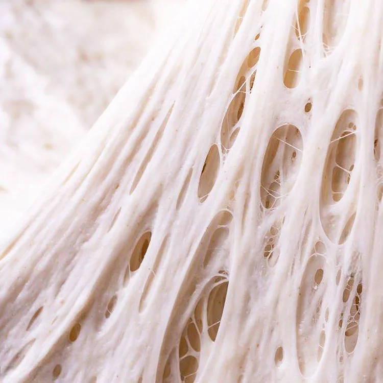 High active instant dry pastry dough bread improver baking fermentation yeast power 500g 125g high sugar supplier for swelling