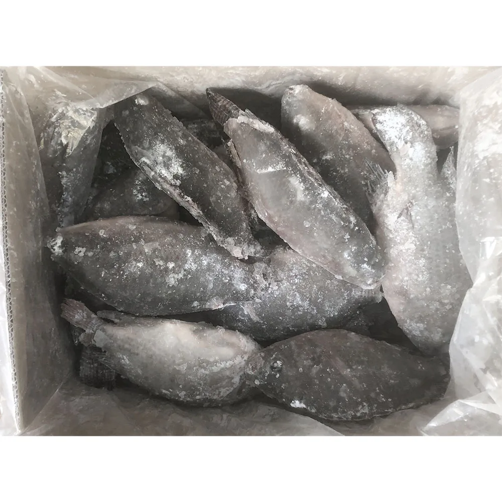 Poisson tilapia 300g to 500 fiyat icin dondurulmus tilapia balik frozen tilapia fish